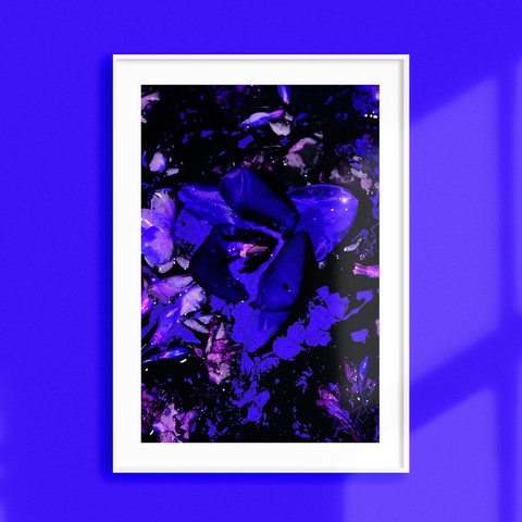 MIDNIGHT - A3 & A2 Graphic Floral Wall Art / Floral Wall Decor
