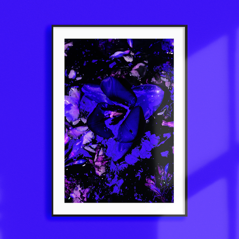 MIDNIGHT - A3 & A2 Graphic Floral Wall Art / Floral Wall Decor