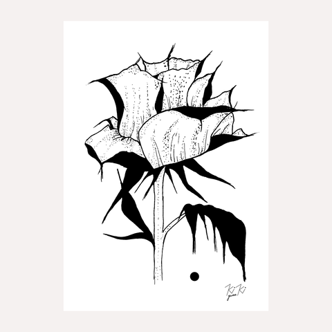 A ROSE BY ANY NAME - A4 Illustrated Black & White Art Print