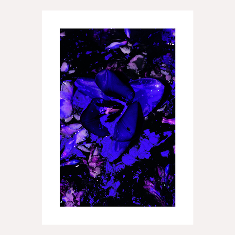 MIDNIGHT - A3 & A2 Graphic Floral Wall Art / Floral Wall Decor