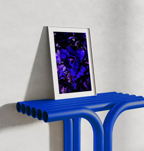 MIDNIGHT - A3 & A2 Graphic Floral Wall Art / Floral Wall Decor