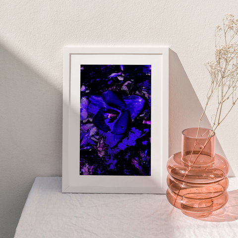 MIDNIGHT - A3 & A2 Graphic Floral Wall Art / Floral Wall Decor