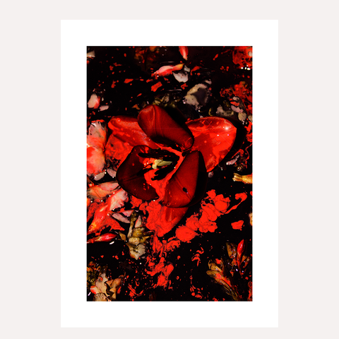 DIPPED - RED A4 Dark Floral Art Print.