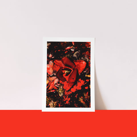 DIPPED - RED A4 Dark Floral Art Print.